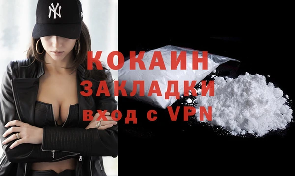 дживик Богданович