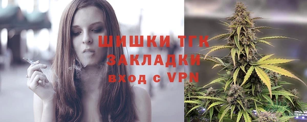 дживик Богданович