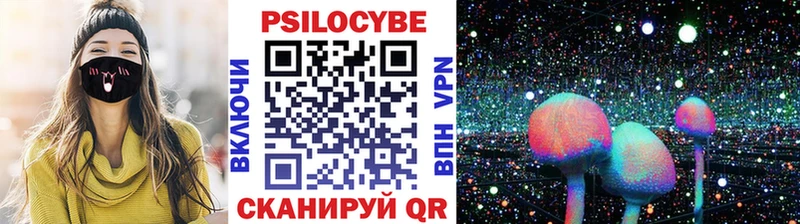 хочу нарко площадка состав Галлюциногенные грибы мицелий Тверь